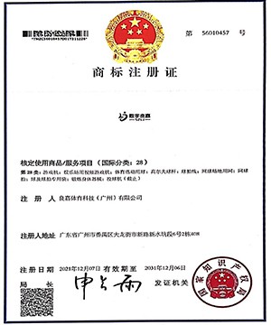 荣誉证书5